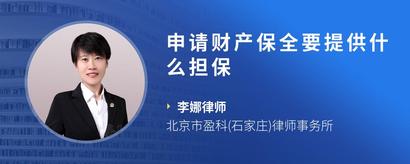 申请财产保全要提供什么担保