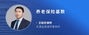 养老保险基数