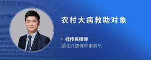 农村大病救助对象