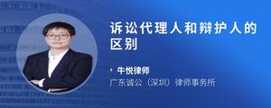 诉讼代理人和辩护人的区别