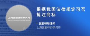 根据我国法律规定可否抢注商标