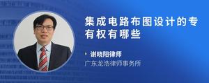 集成电路布图设计的专有权有哪些