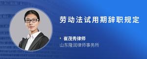 劳动法试用期辞职规定