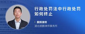 行政处罚法中行政处罚如何终止