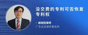 没交费的专利可否恢复专利权