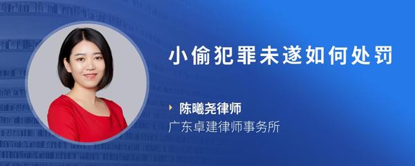 小偷犯罪未遂如何处罚