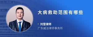 大病救助范围有哪些