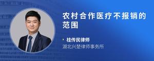 农村合作医疗不报销的范围