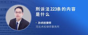 刑诉法223条的内容是什么?