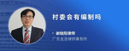 村委会有编制吗