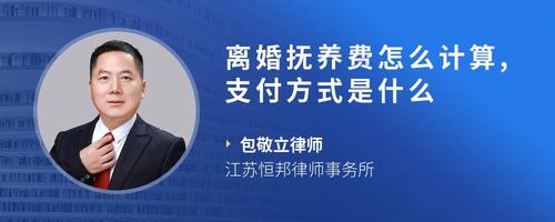 离婚抚养费怎么计算,支付方式是什么