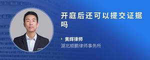 开庭后还可以提交证据吗