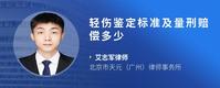 轻伤鉴定标准及量刑赔偿多少