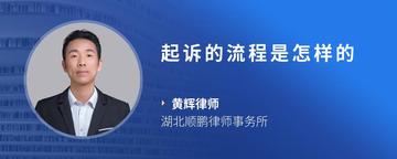 起诉的流程是怎样的