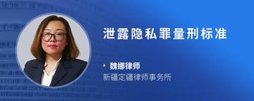 泄露隐私罪量刑标准