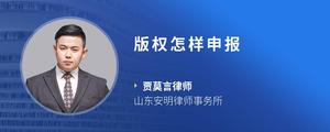 版权怎样申报