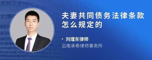 夫妻共同债务法律条款怎么规定的