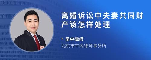 离婚诉讼中夫妻共同财产该怎样处理