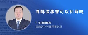 寻衅滋事罪可以和解吗