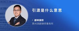 引渡是什么意思