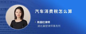 汽车消费税怎么算