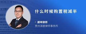 什么时候购置税减半