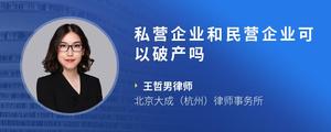 私营企业和民营企业可以破产吗