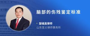 脑部的伤残鉴定标准