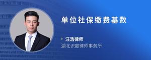 单位社保缴费基数