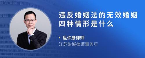 违反婚姻法的无效婚姻四种情形是什么
