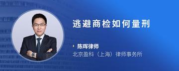 逃避商检如何量刑