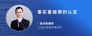 事实重婚罪的认定