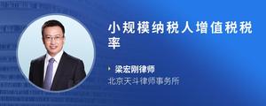 小规模纳税人增值税税率