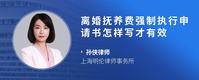 离婚抚养费强制执行申请书怎样写才有效