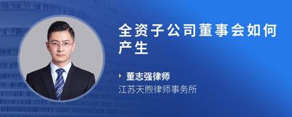 全资子公司董事会如何产生