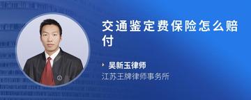 交通鉴定费保险怎么赔付