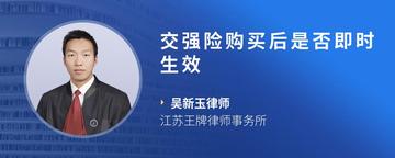 交强险购买后是否即时生效