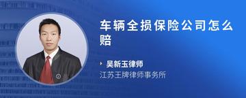 车辆全损保险公司怎么赔