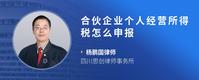 合伙企业个人经营所得税怎么申报