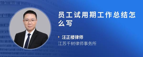 员工试用期工作总结怎么写