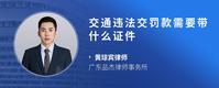 交通违法交罚款需要带什么证件