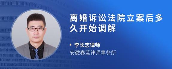 离婚诉讼法院立案后多久开始调解