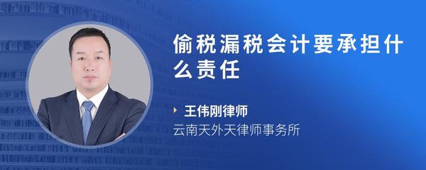 偷税漏税会计要承担什么责任