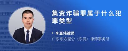 集资诈骗罪属于什么犯罪类型