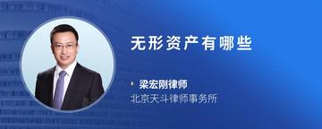 无形资产有哪些