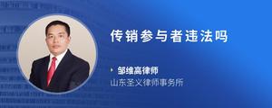 传销参与者违法吗