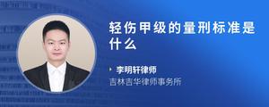 轻伤甲级的量刑标准是什么