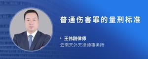 普通伤害罪的量刑标准