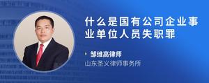 什么是国有公司企业事业单位人员失职罪