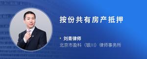 按份共有房产抵押